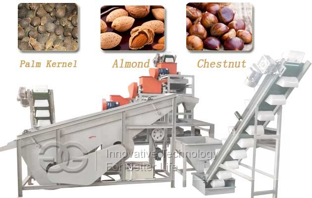Palm Kernel Cracker Machine|Chestnut Shelling Machine(800,1000kg per hour)