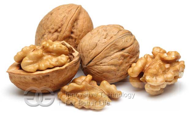 Walnut Pecan Nut