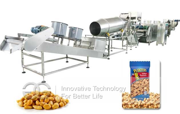 Peanut Roasting Seasoning Production Line|Salted Peanuts Processing Line