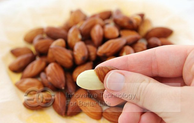 Almond Skin
