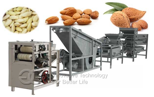 Commercial Almond Shelling Peeling Production Line