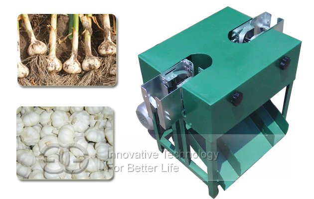 Garlic Cutting Machine