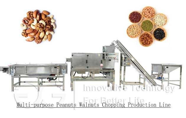 Peanut Chopping Production Line|Almond Chopping Processing Line Manufacturer in China