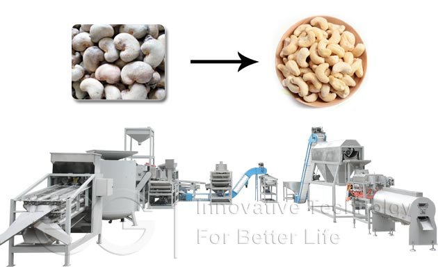 Cashew Nut Processing Line|Kaju Processing Machine(100,500,1000kg per hour)