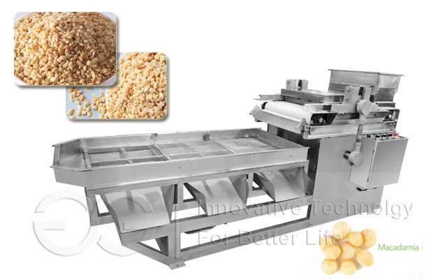 Macadamia Nut Chopping Cutting Machine|Macadamia Nut Dicing Machine For Sale