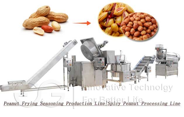 Peanut Frying Seasoning Production Line|Spicy Peanut Processing Line