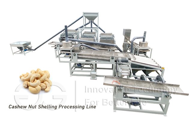 500KG/H Cashew Nut Processing Project Cost in China