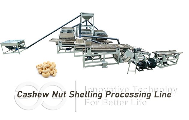 Cashew Nut Processing Project Cost