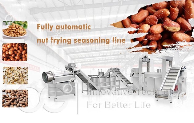 Nut Frying Machine