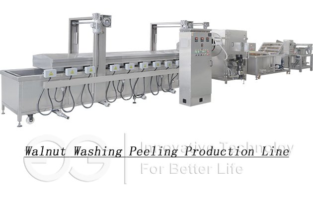 Walnut Washing Peeling Production Line