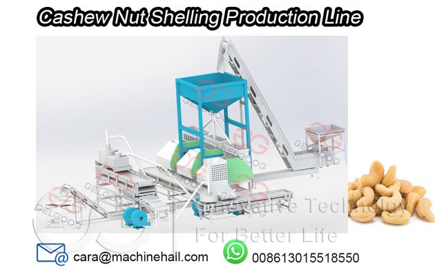 Cashew nut Shelling Production Line